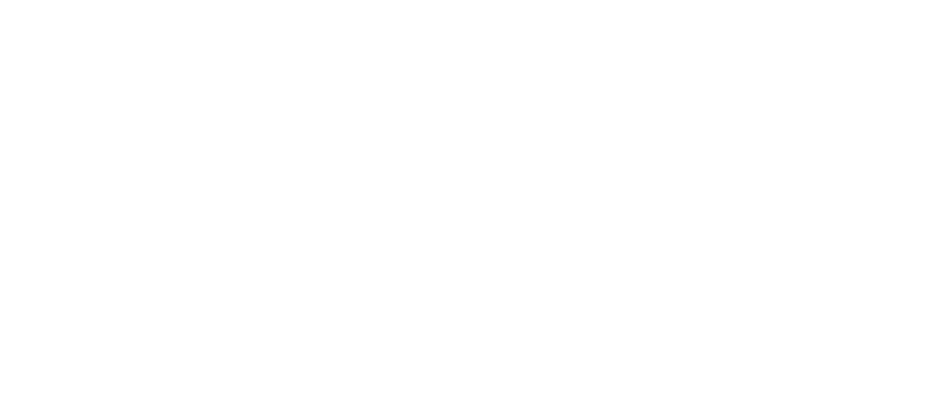 Logo Ökofen - Weiß